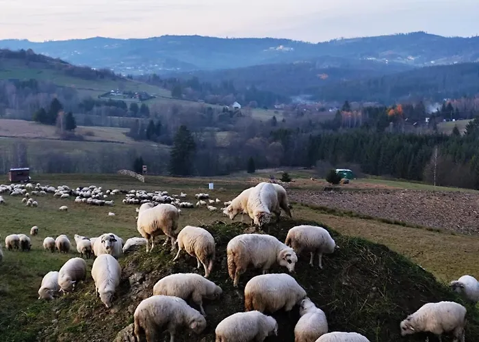 Wsrod Gor Apartmán *