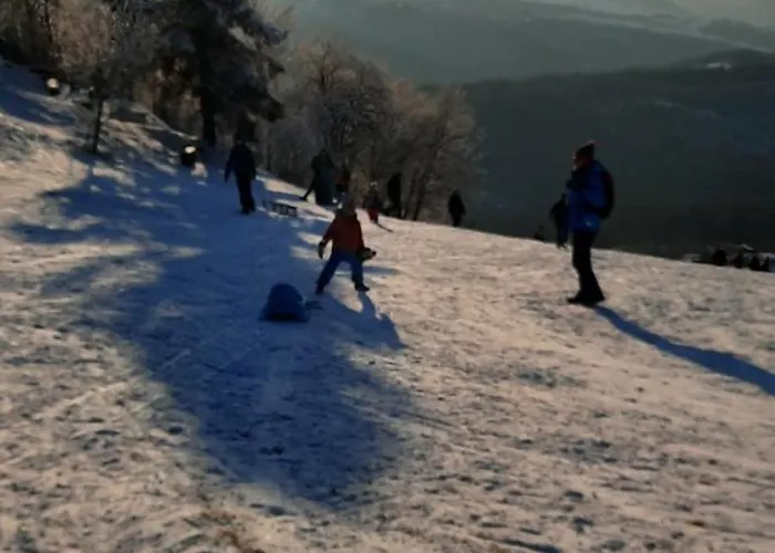 Wsrod Gor Διαμέρισμα