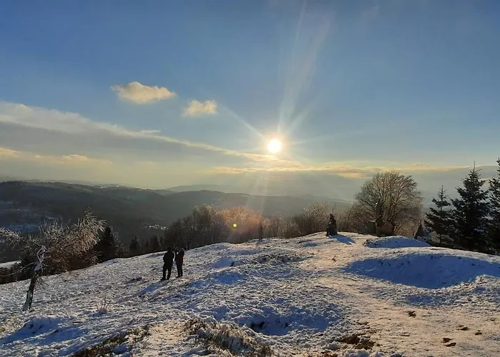 Wsrod Gor 이스테브나